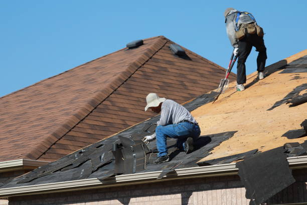 Best Slate Roofing  in Haines, AK