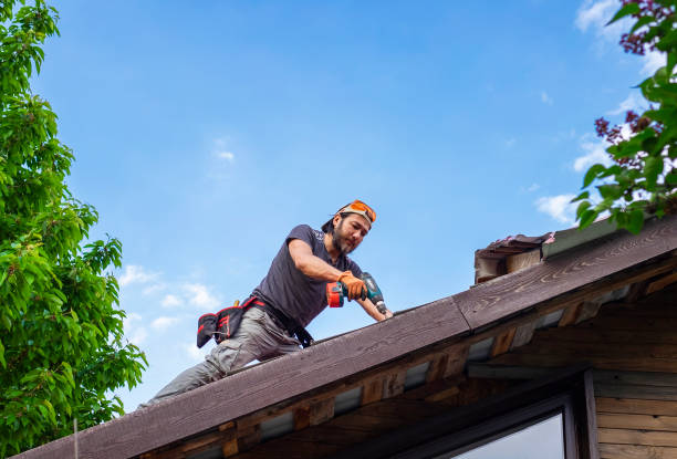 Best Storm Damage Roof Repair  in Haines, AK